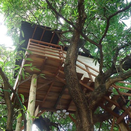 Casa na Árvore Salvador Exterior foto