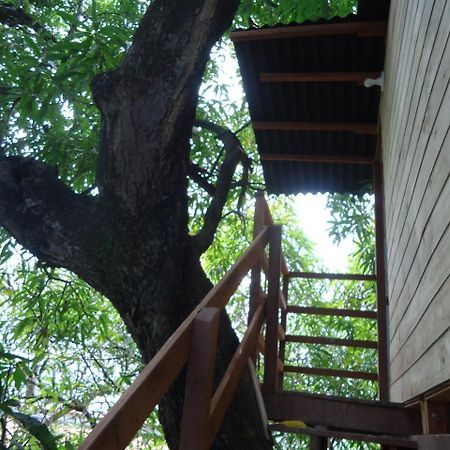 Casa na Árvore Salvador Exterior foto
