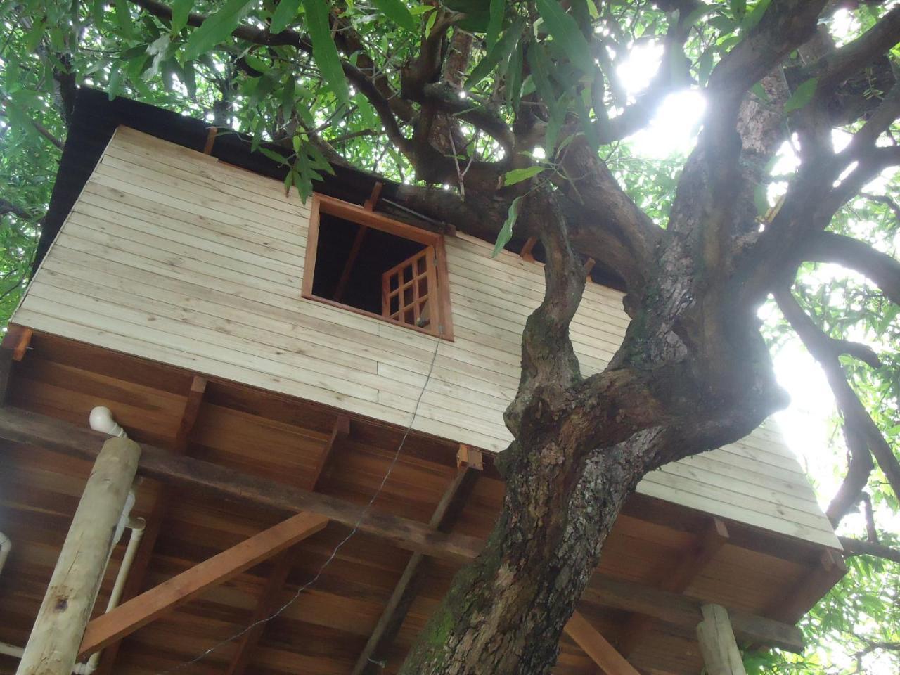 Casa na Árvore Salvador Exterior foto
