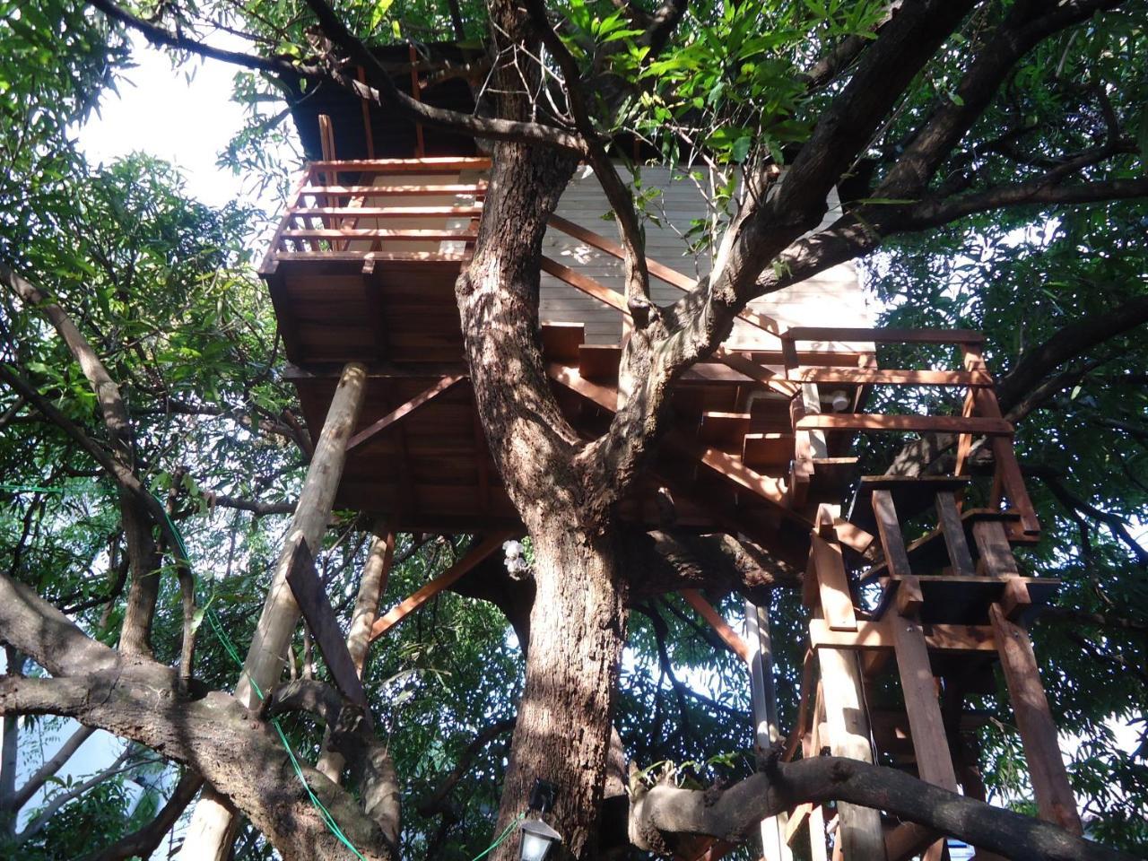 Casa na Árvore Salvador Exterior foto